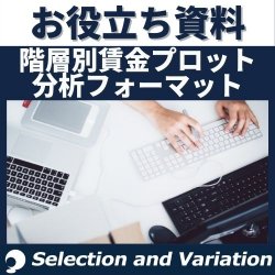 階層別賃金プロット分析【分析用フォーマット】